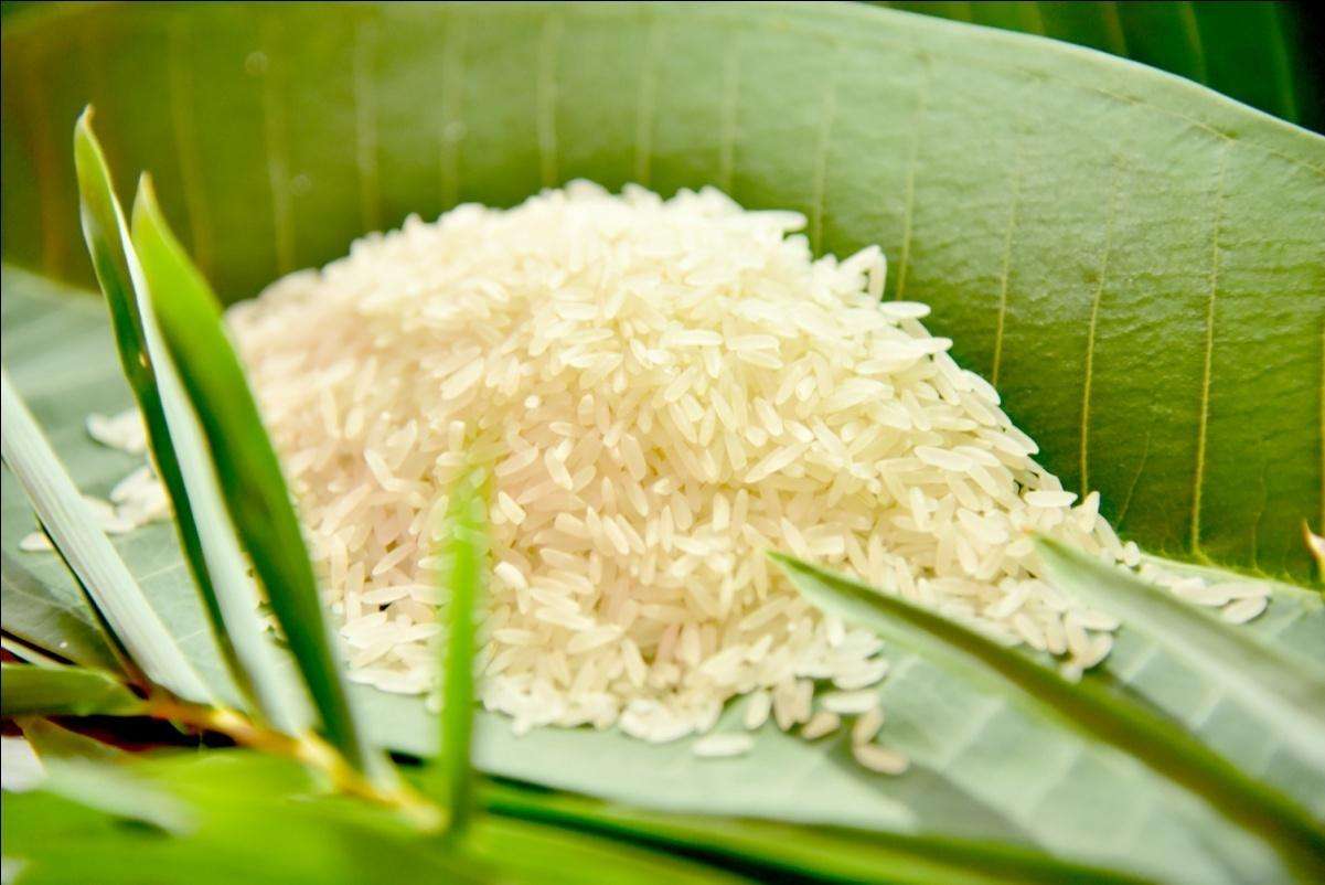 了解有機(jī)大米儲(chǔ)藏特點(diǎn)，正確進(jìn)行儲(chǔ)藏